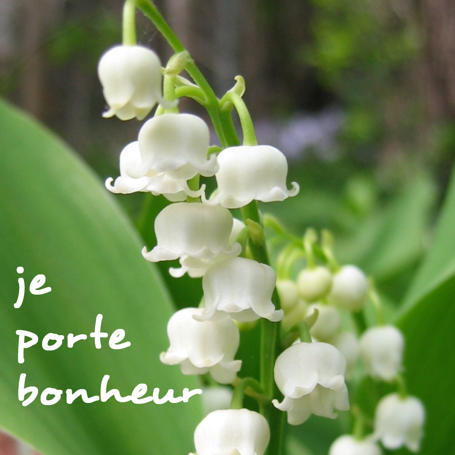 Muguet Images Gratuites VENTE DE MUGUET - 30 Avril 2018 organisée par l'APEP - Ville de Saint Paul et Valmalle